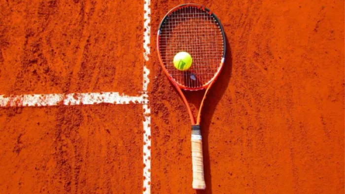 Which Tennis Balls are Best For Clay Court
